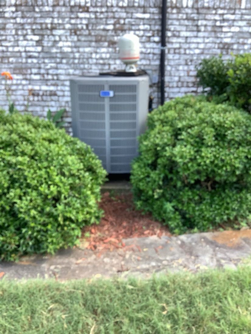HVAC condenser unit with new copper refrigerant lines installed outside home.